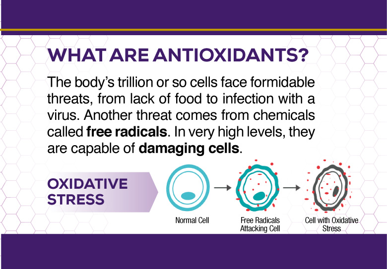 What are Antioxidants?